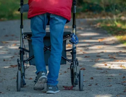De beste rollator van 2026